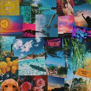 Meet your Posher, Florangel